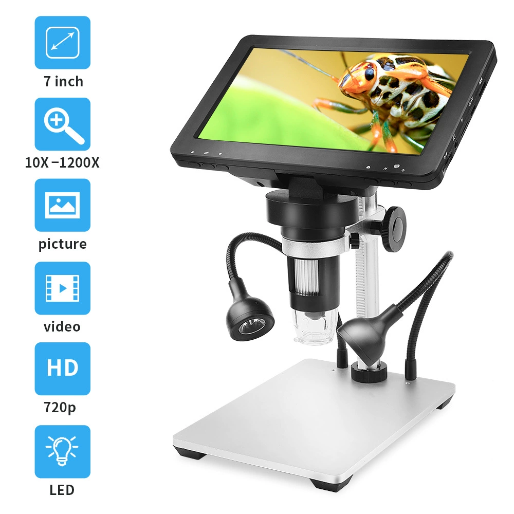 Microscope eyepieces
