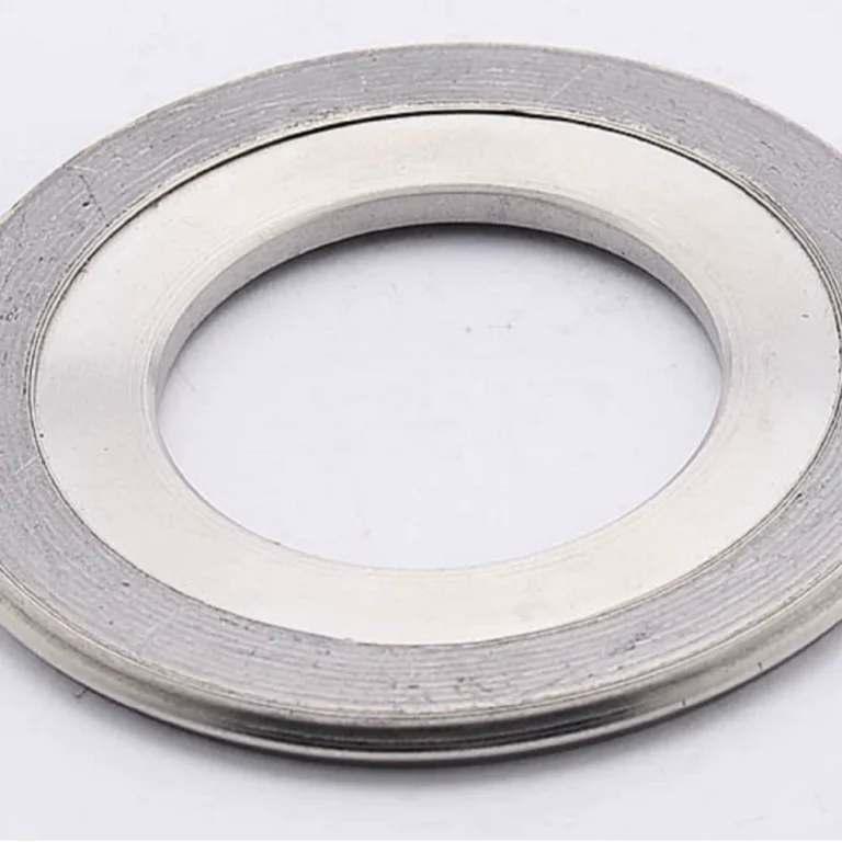 Autoclave chamber gaskets