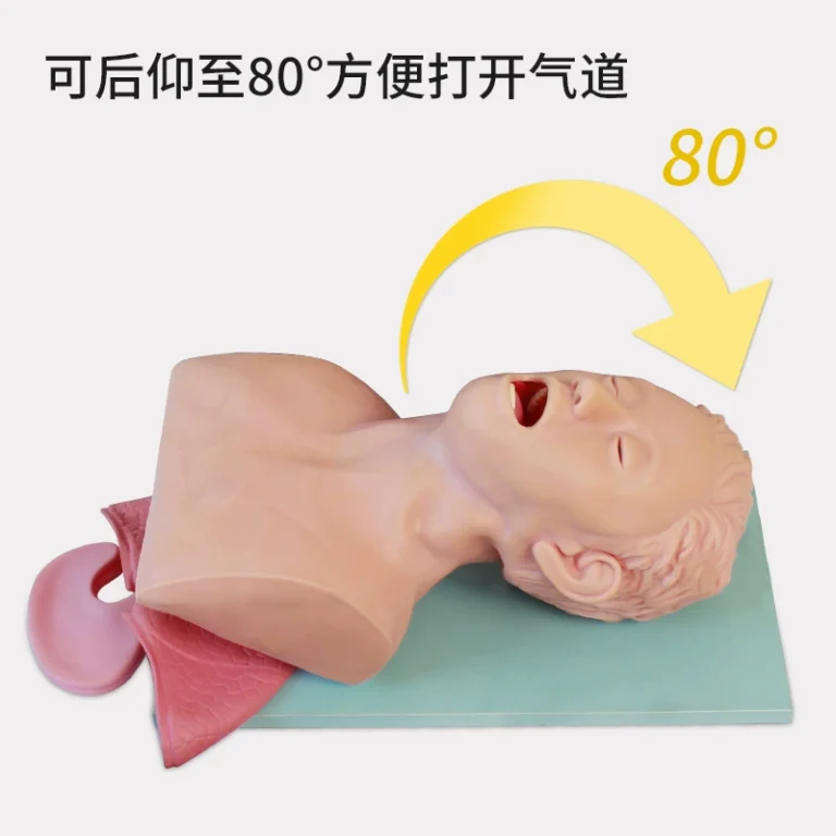 Endotracheal tubes