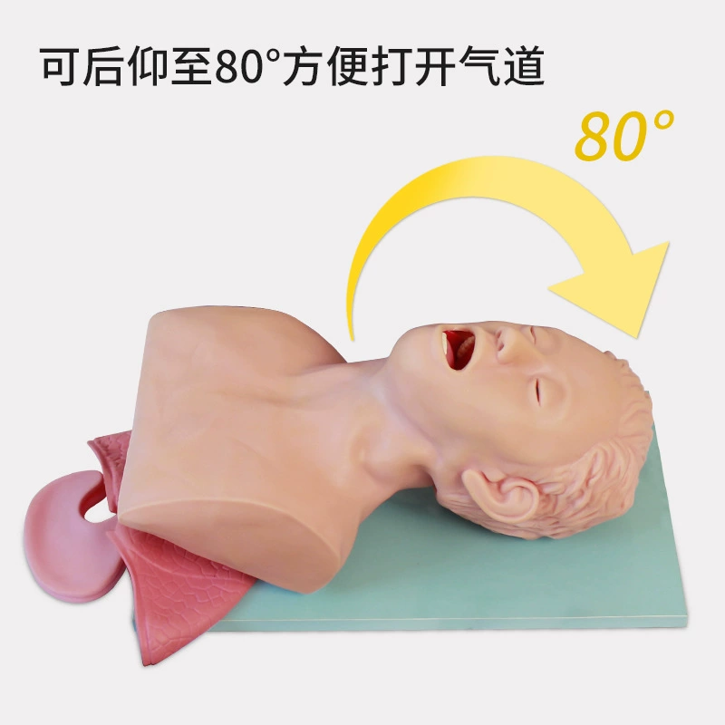 Endotracheal tubes