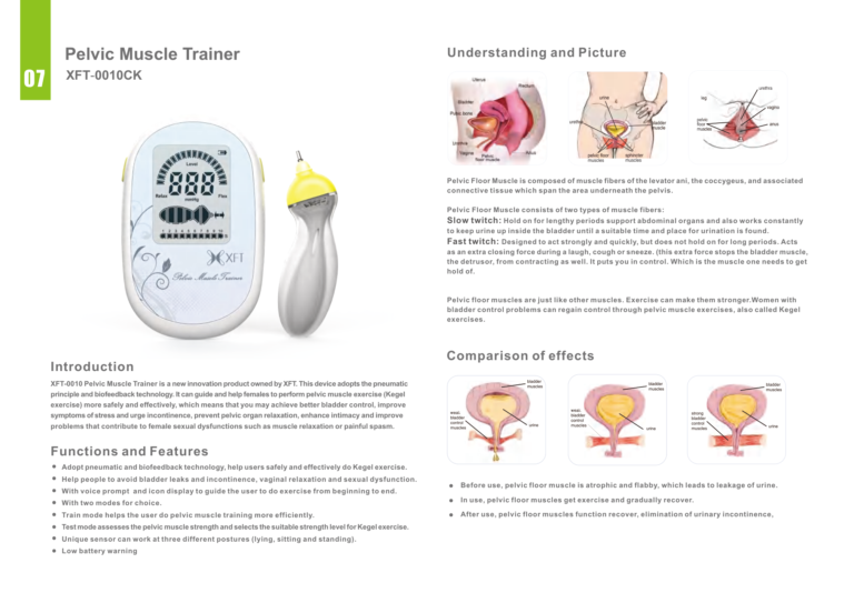 XFT-0010CK Pelvic Muscle Trainer